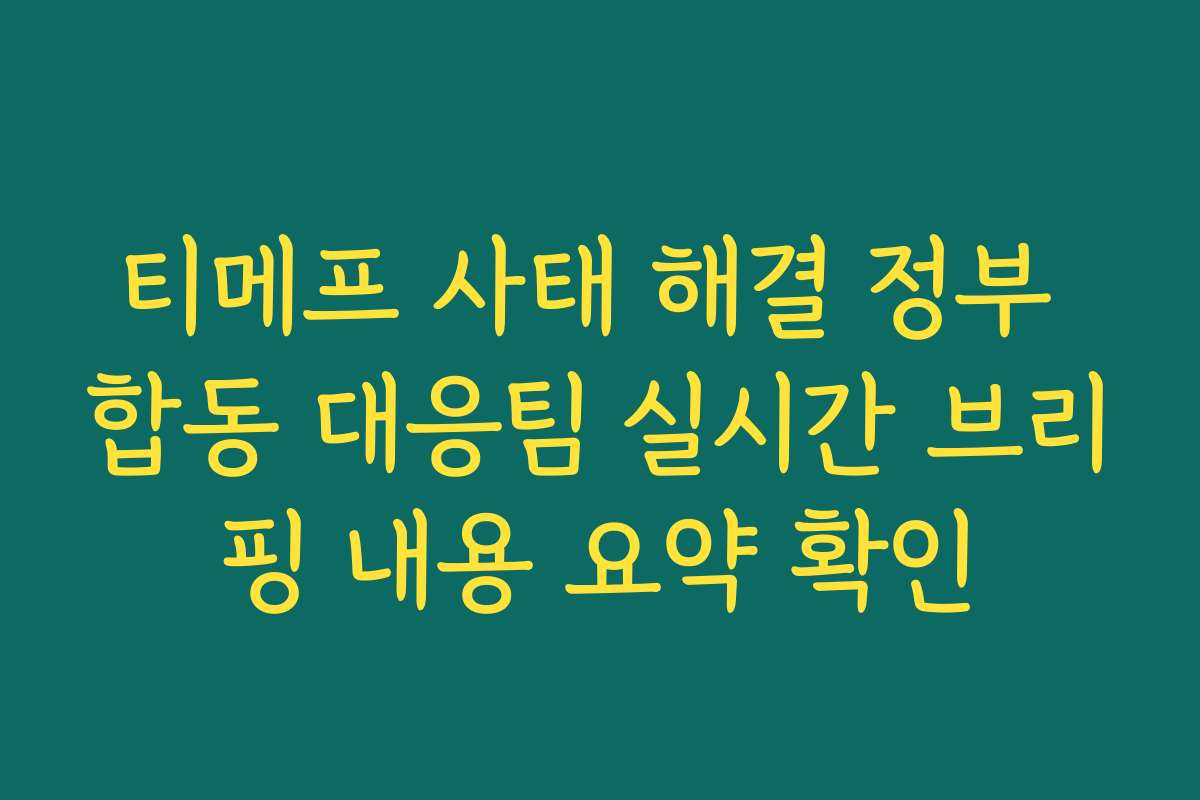 티메프 사태 해결 정부 합동 대응팀 실시간 브리핑 내용 요약 확인