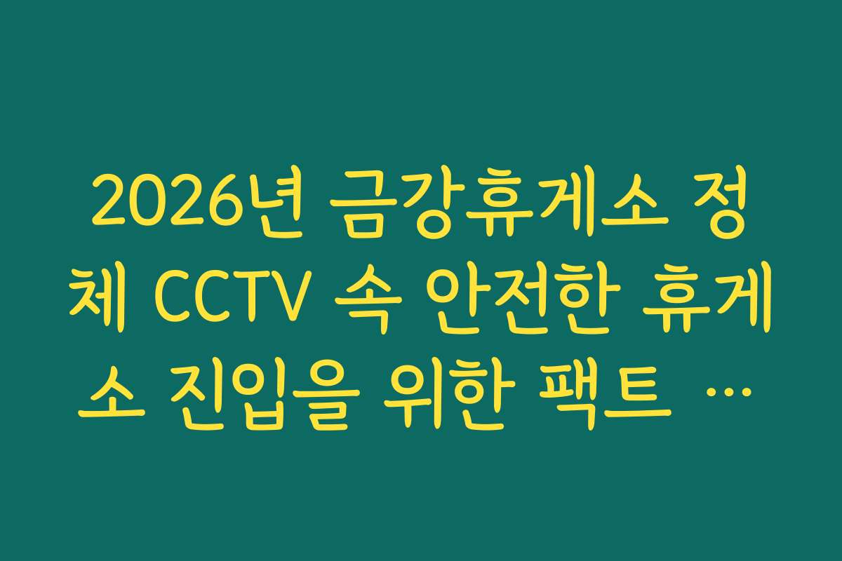 2026년 금강휴게소 정체 CCTV 속 안전한 휴게소 진입을 위한 팩트 확인