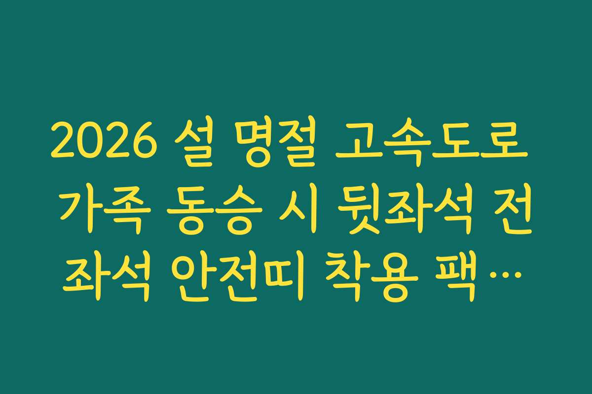 2026 설 명절 고속도로 가족 동승 시 뒷좌석 전좌석 안전띠 착용 팩트체크