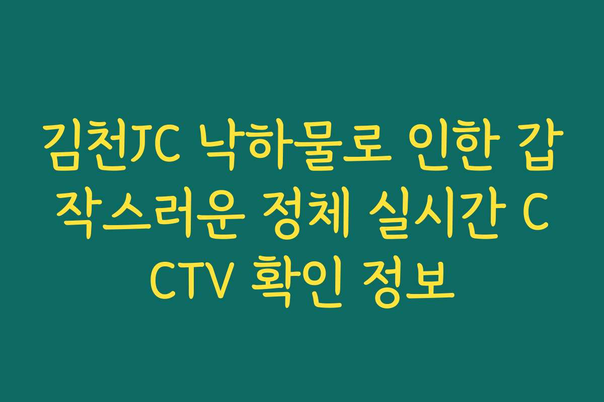 김천JC 낙하물로 인한 갑작스러운 정체 실시간 CCTV 확인 정보