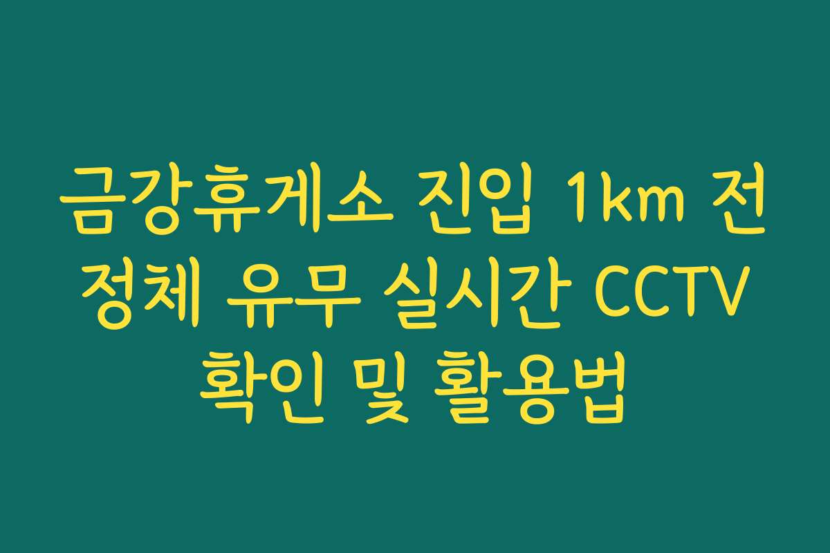 금강휴게소 진입 1km 전 정체 유무 실시간 CCTV 확인 및 활용법