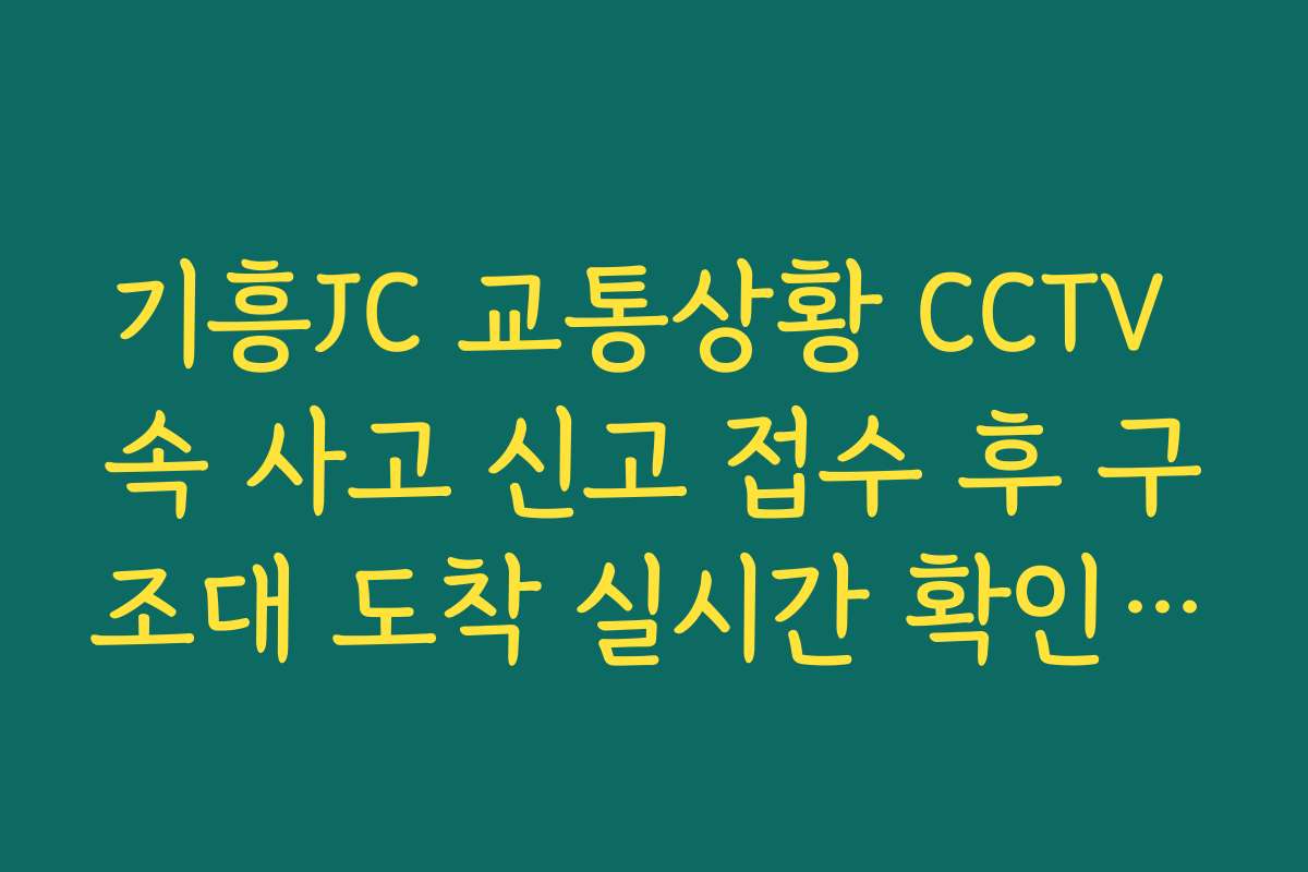 기흥JC 교통상황 CCTV 속 사고 신고 접수 후 구조대 도착 실시간 확인 방법