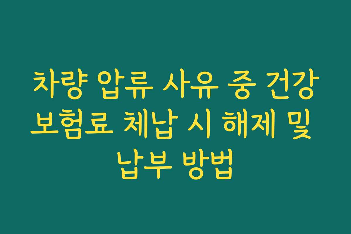 차량 압류 사유 중 건강보험료 체납 시 해제 및 납부 방법