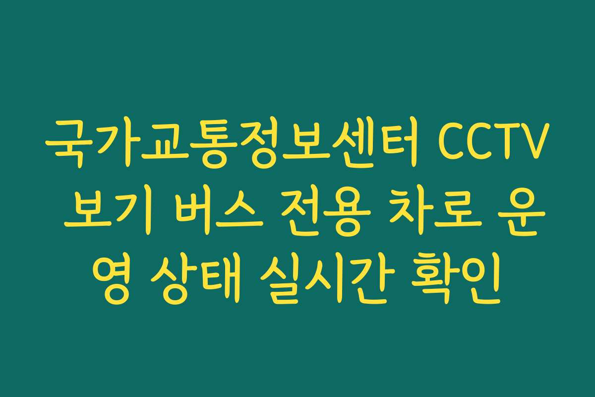 국가교통정보센터 CCTV 보기 버스 전용 차로 운영 상태 실시간 확인