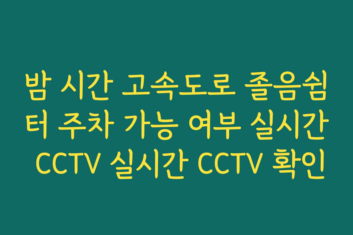 밤 시간 고속도로 졸음쉼터 주차 가능 여부 실시간 CCTV 실시간 CCTV 확인
