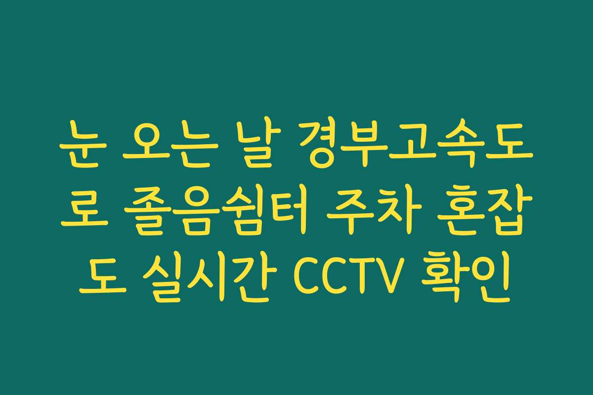 눈 오는 날 경부고속도로 졸음쉼터 주차 혼잡도 실시간 CCTV 확인