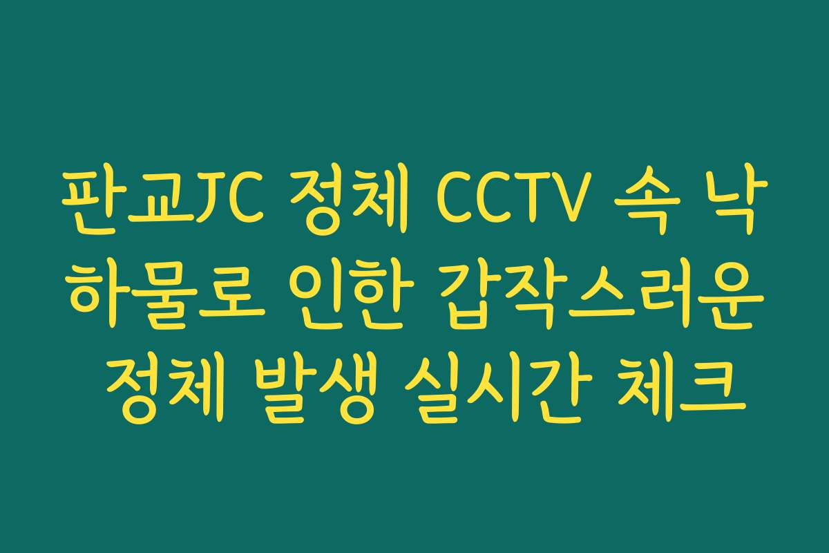 판교JC 정체 CCTV 속 낙하물로 인한 갑작스러운 정체 발생 실시간 체크