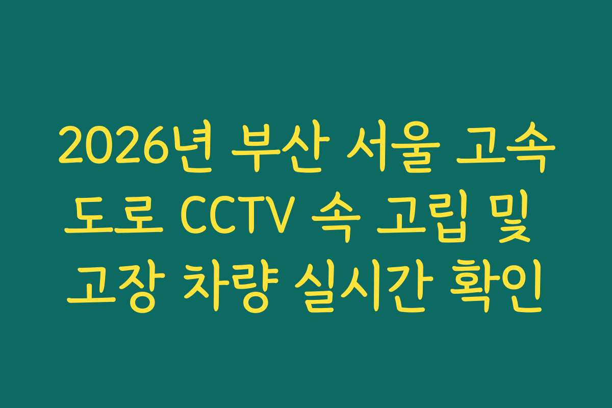 2026년 부산 서울 고속도로 CCTV 속 고립 및 고장 차량 실시간 확인