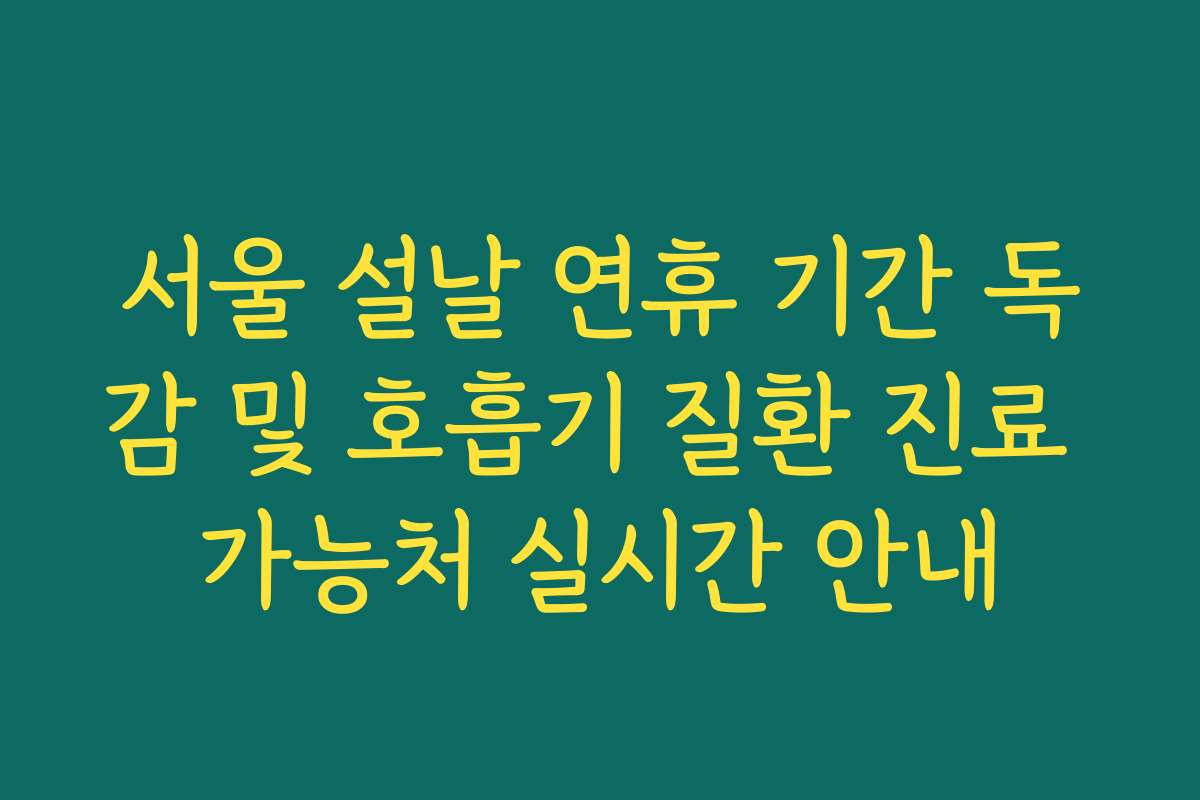 서울 설날 연휴 기간 독감 및 호흡기 질환 진료 가능처 실시간 안내