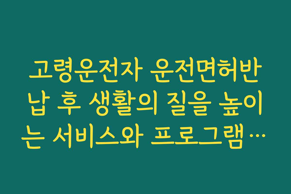 고령운전자 운전면허반납 후 생활의 질을 높이는 서비스와 프로그램 추천