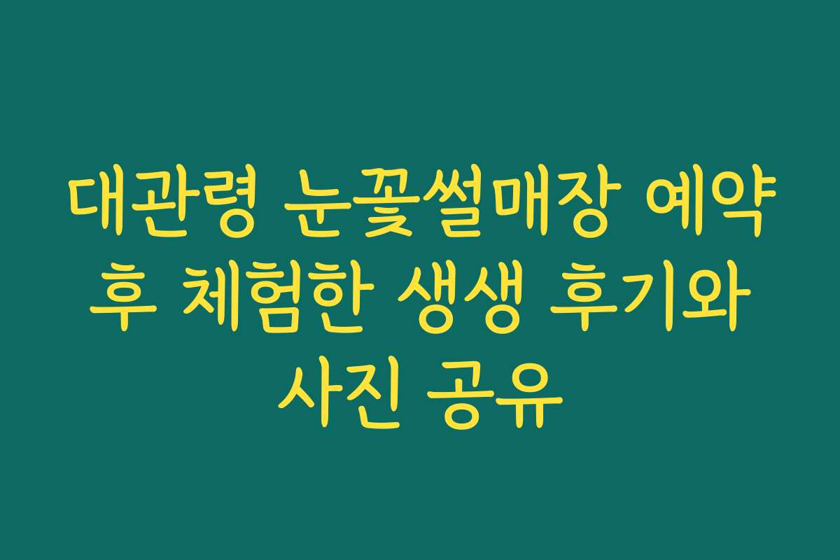 대관령 눈꽃썰매장 예약 후 체험한 생생 후기와 사진 공유