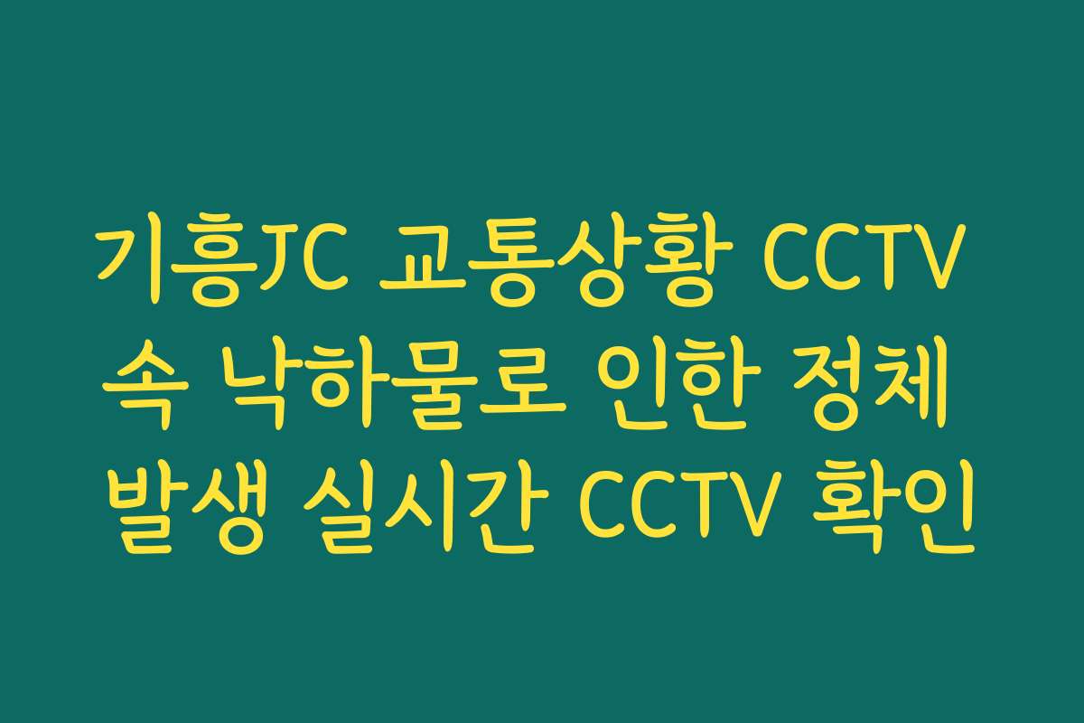 기흥JC 교통상황 CCTV 속 낙하물로 인한 정체 발생 실시간 CCTV 확인