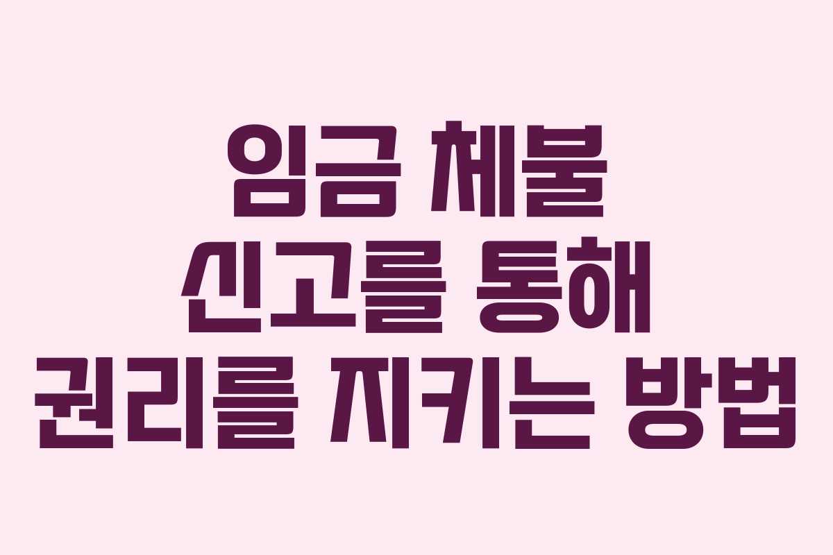 임금 체불 신고를 통해 권리를 지키는 방법