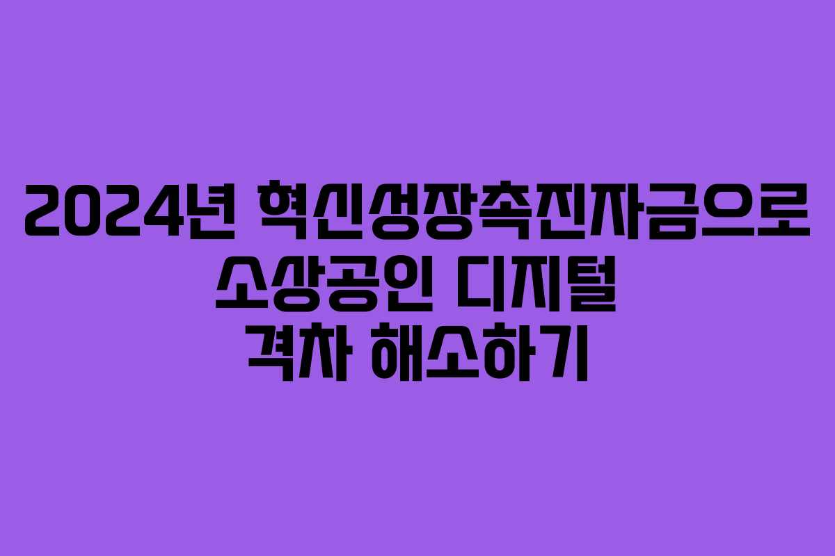 2024년 혁신성장촉진자금으로 소상공인 디지털 격차 해소하기