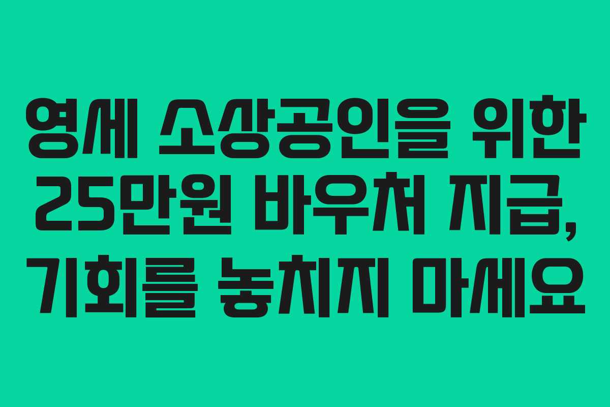영세 소상공인을 위한 25만원 바우처 지급, 기회를 놓치지 마세요