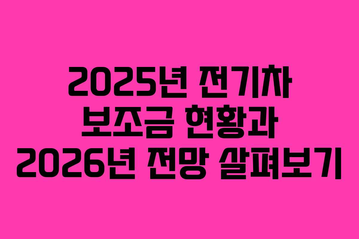 2025년 전기차 보조금 현황과 2026년 전망 살펴보기