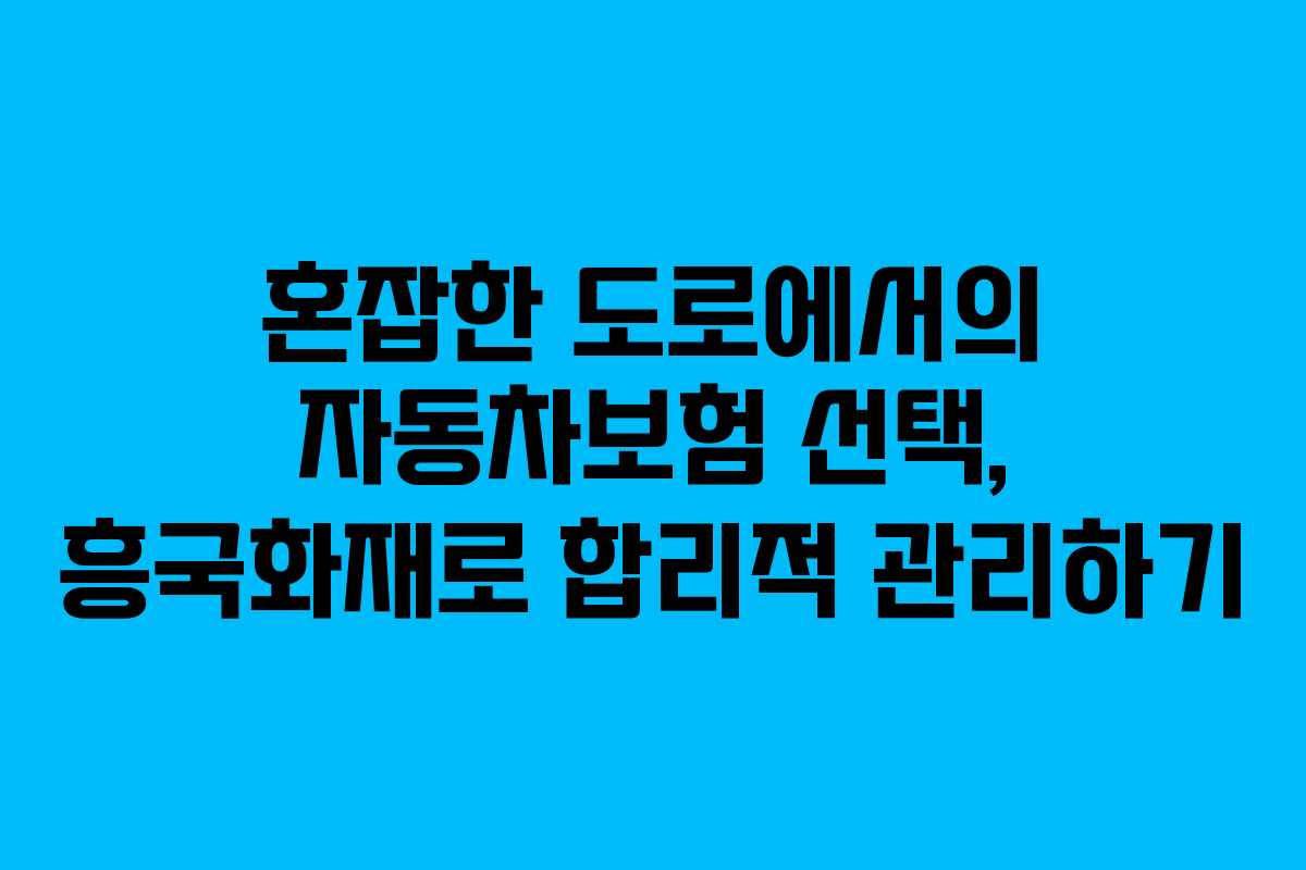 혼잡한 도로에서의 자동차보험 선택, 흥국화재로 합리적 관리하기