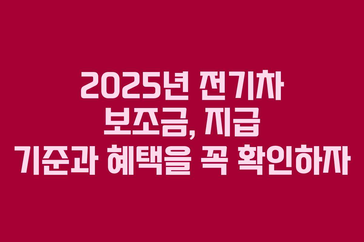 2025년 전기차 보조금, 지급 기준과 혜택을 꼭 확인하자