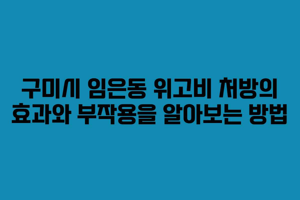 구미시 임은동 위고비 처방의 효과와 부작용을 알아보는 방법