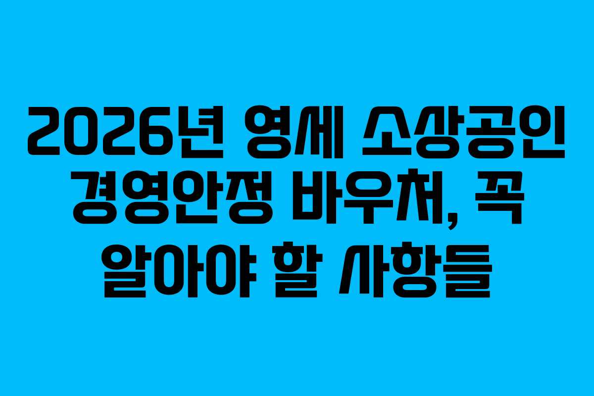 2026년 영세 소상공인 경영안정 바우처, 꼭 알아야 할 사항들