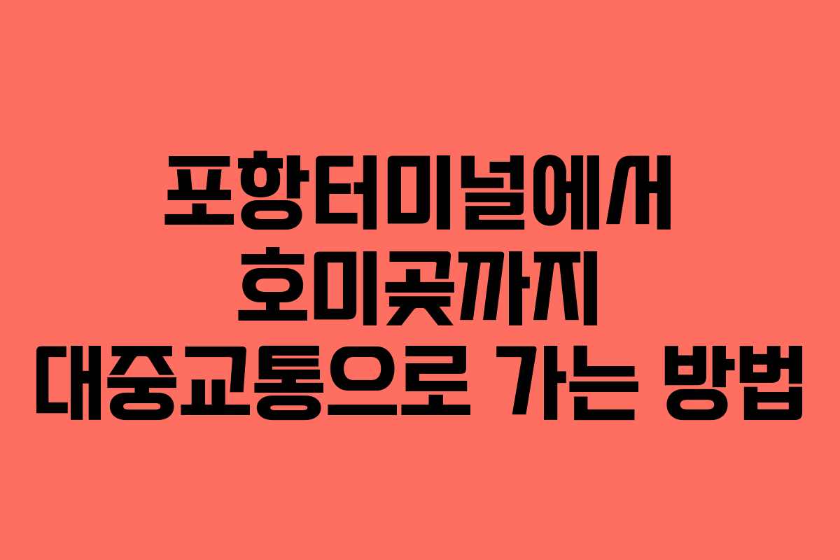 포항터미널에서 호미곶까지 대중교통으로 가는 방법