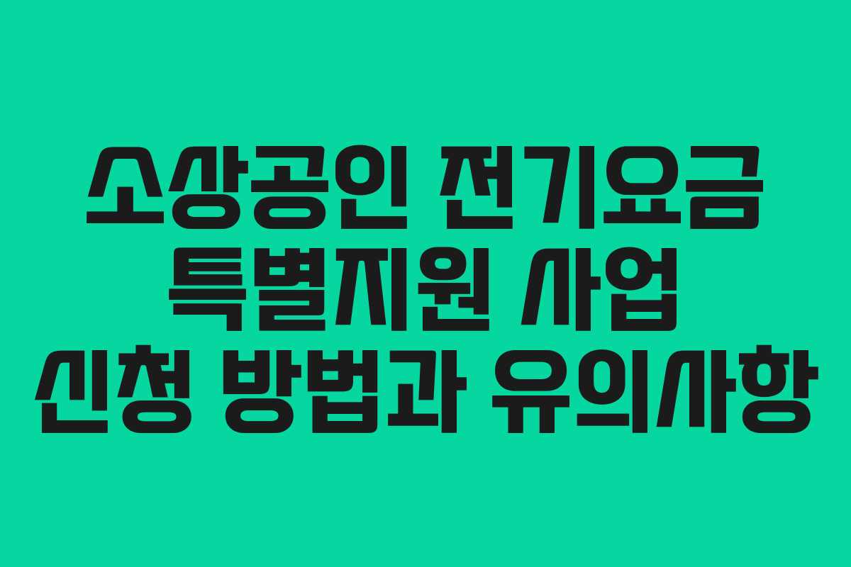 소상공인 전기요금 특별지원 사업 신청 방법과 유의사항