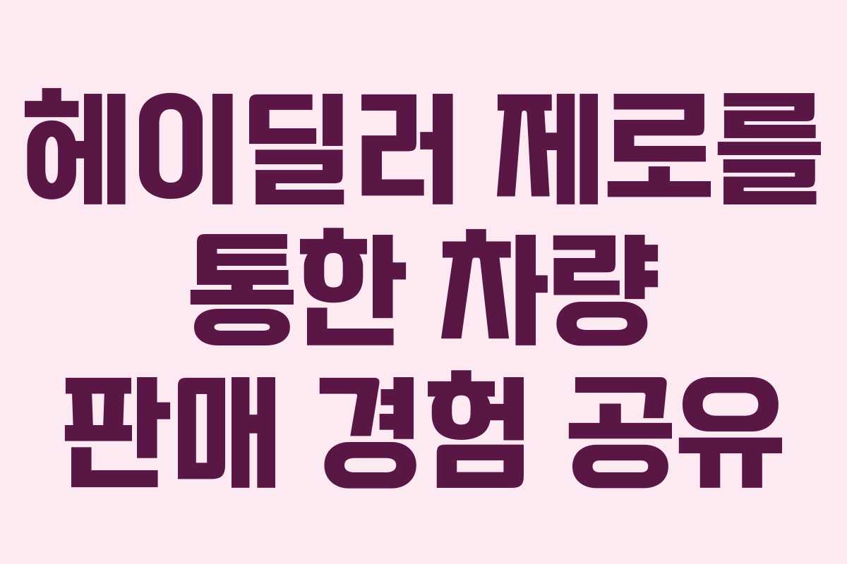 헤이딜러 제로를 통한 차량 판매 경험 공유