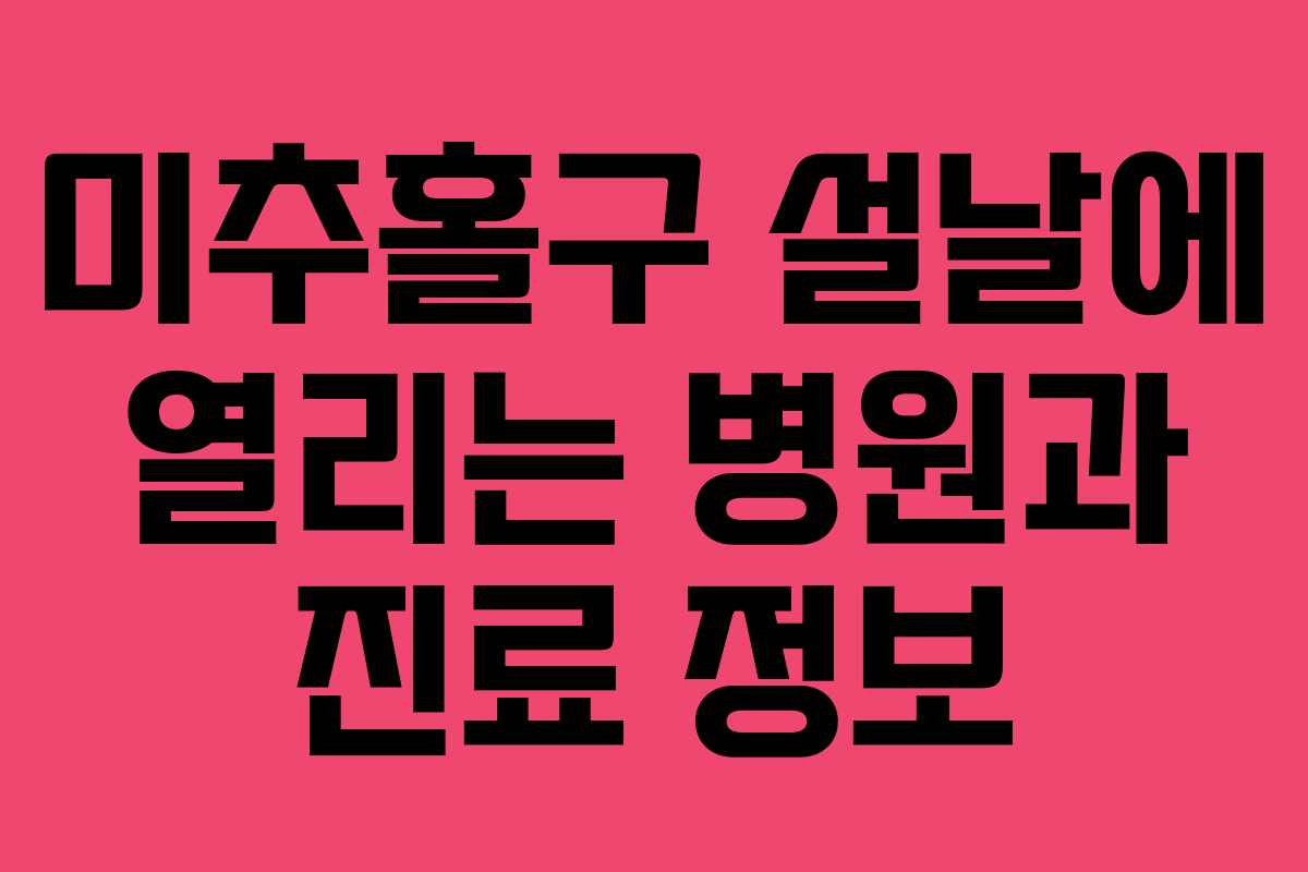 미추홀구 설날에 열리는 병원과 진료 정보