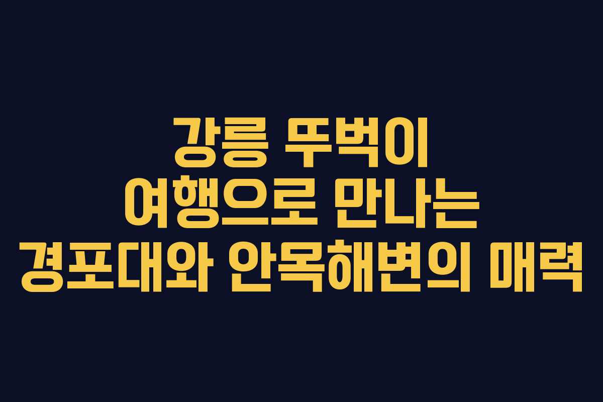 강릉 뚜벅이 여행으로 만나는 경포대와 안목해변의 매력