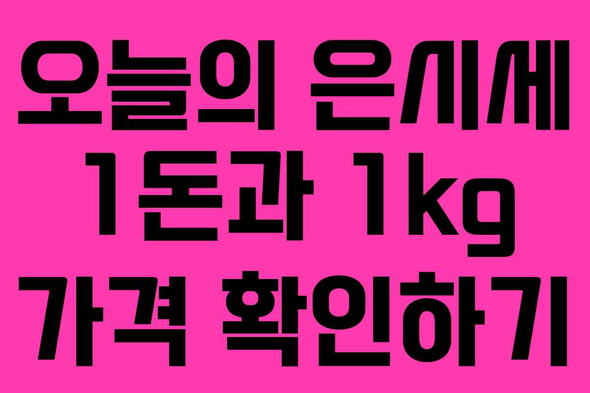 오늘의 은시세 1돈과 1kg 가격 확인하기