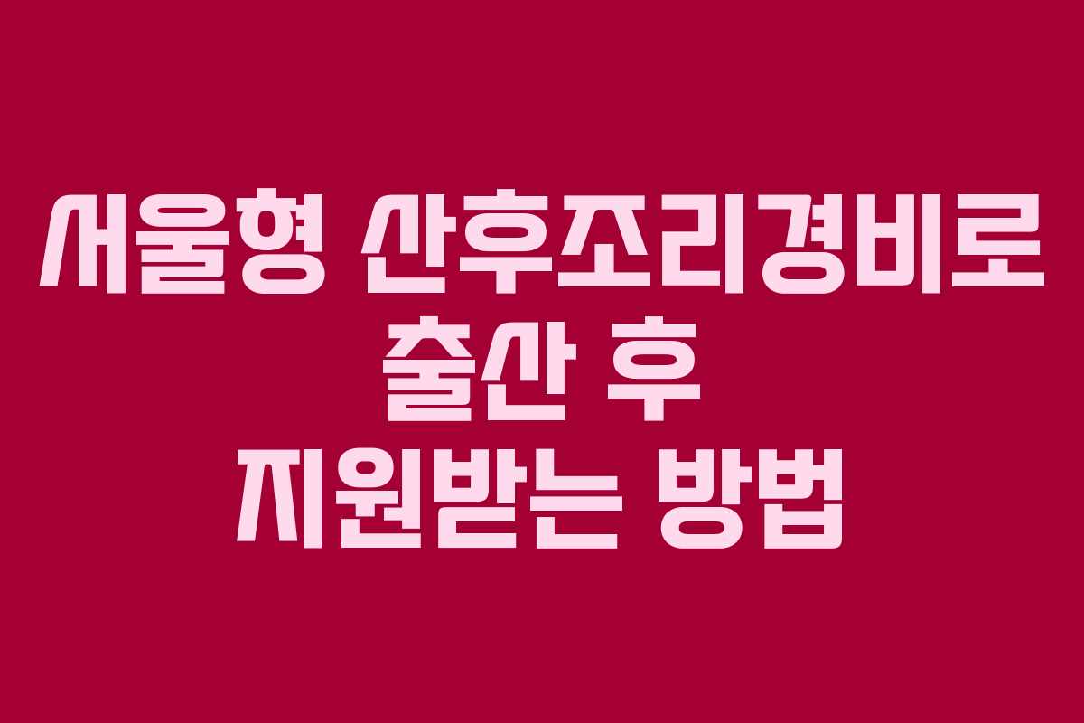 서울형 산후조리경비로 출산 후 지원받는 방법