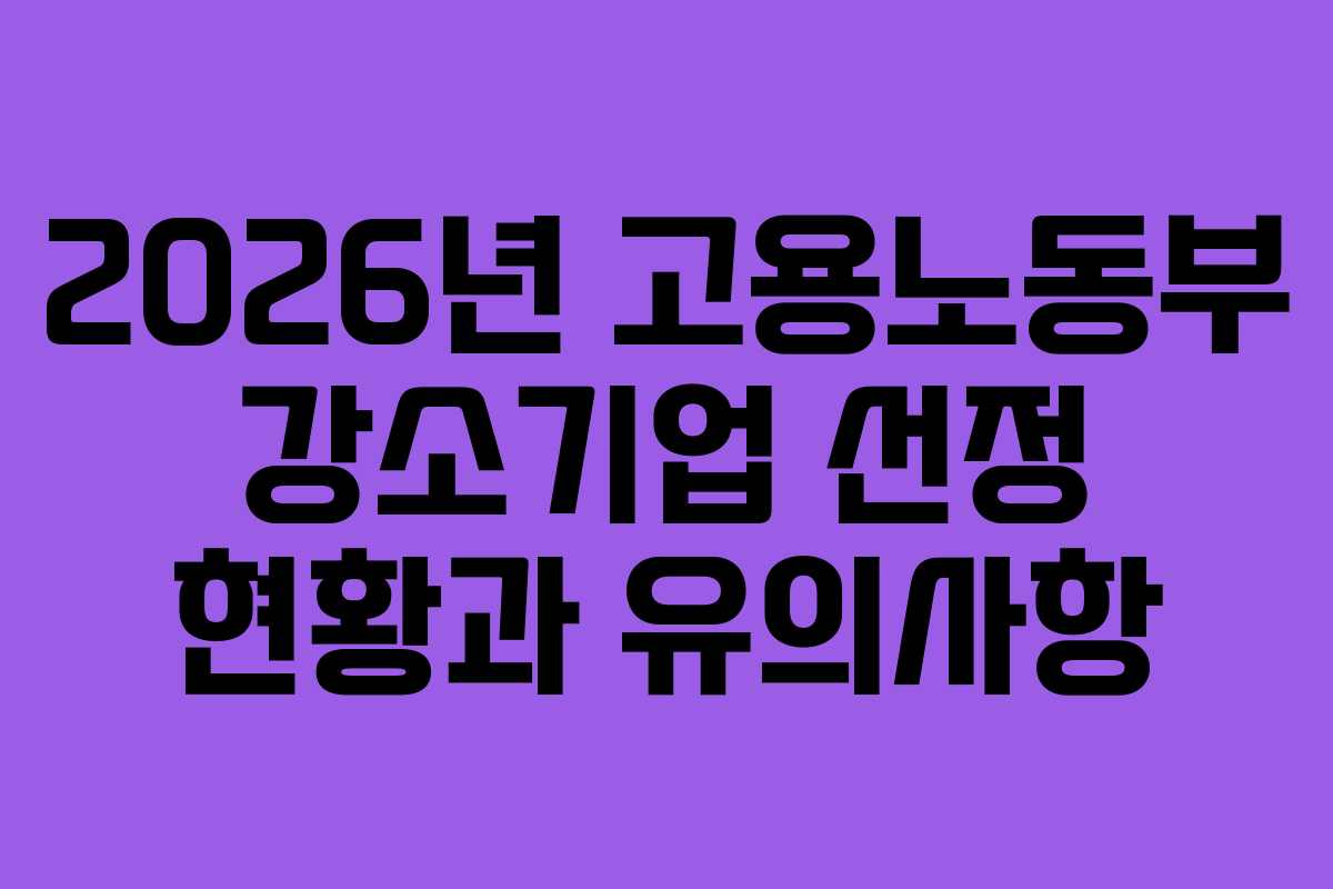 2026년 고용노동부 강소기업 선정 현황과 유의사항
