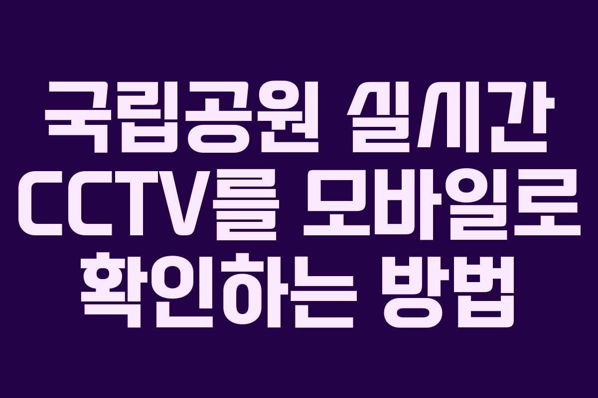 국립공원 실시간 CCTV를 모바일로 확인하는 방법
