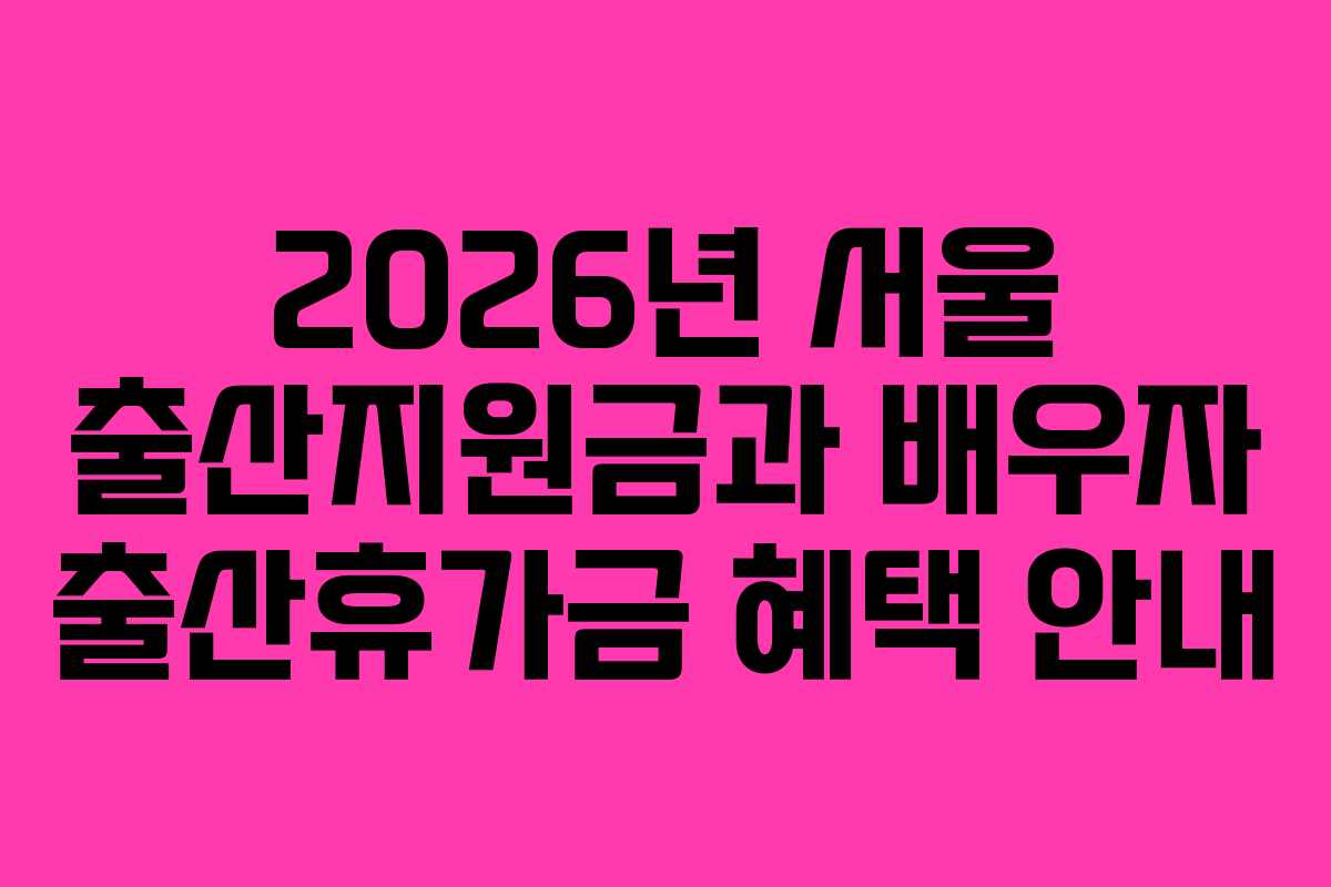 2026년 서울 출산지원금과 배우자 출산휴가금 혜택 안내