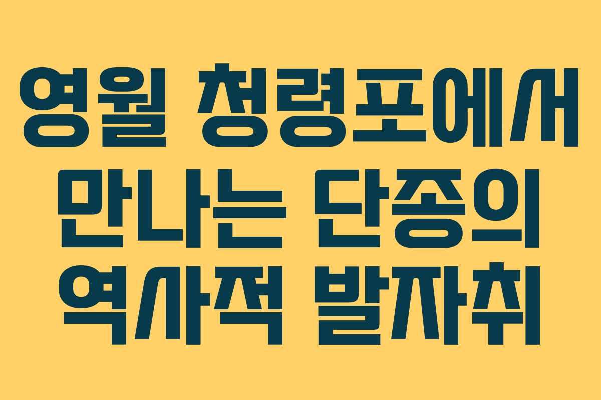 영월 청령포에서 만나는 단종의 역사적 발자취