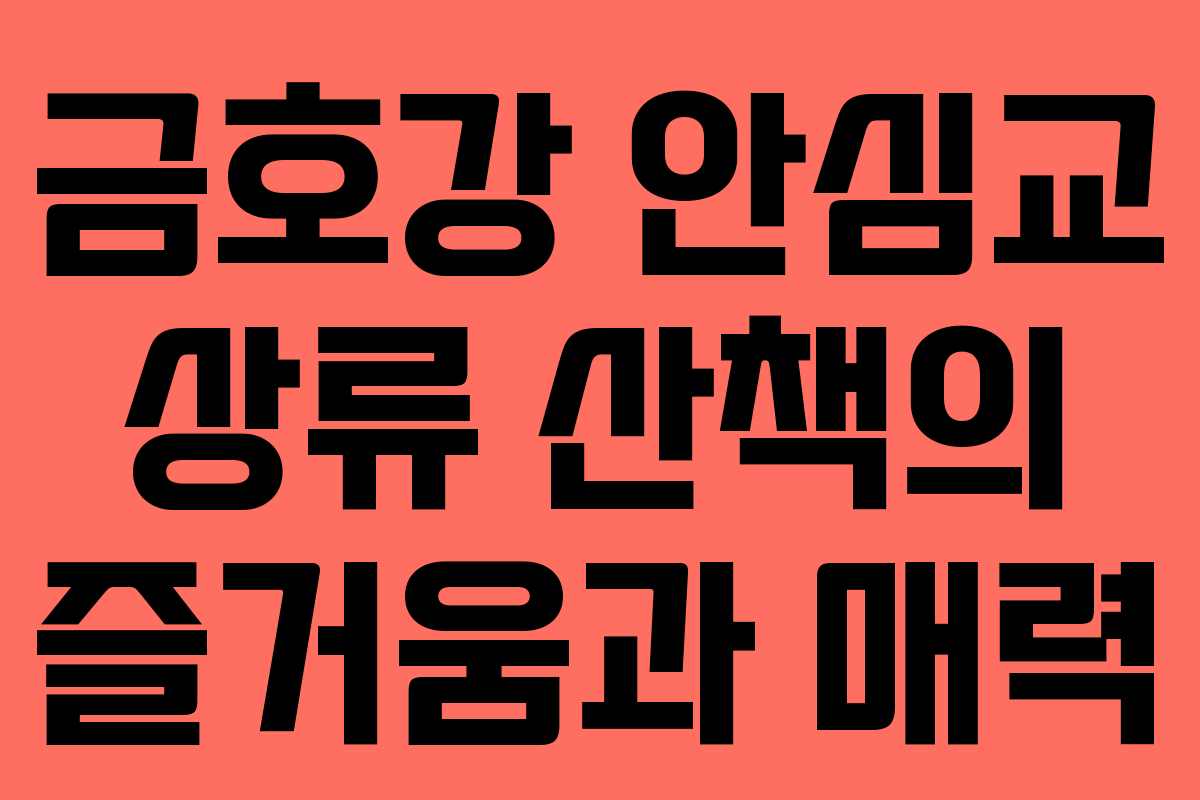 금호강 안심교 상류 산책의 즐거움과 매력