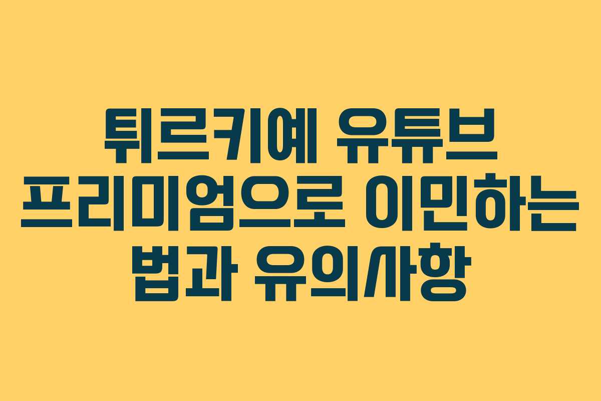 튀르키예 유튜브 프리미엄으로 이민하는 법과 유의사항
