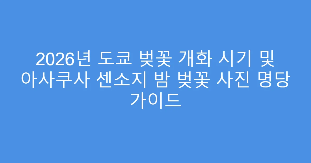 2026년 도쿄 벚꽃 개화 시기 및 아사쿠사 센소지 밤 벚꽃 사진 명당 가이드