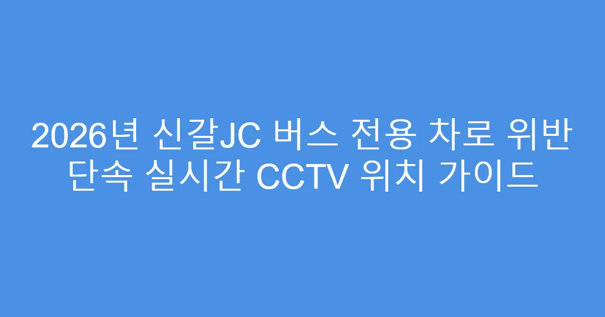 2026년 신갈JC 버스 전용 차로 위반 단속 실시간 CCTV 위치 가이드