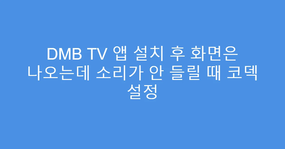 DMB TV 앱 설치 후 화면은 나오는데 소리가 안 들릴 때 코덱 설정