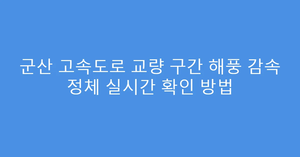 군산 고속도로 교량 구간 해풍 감속 정체 실시간 확인 방법