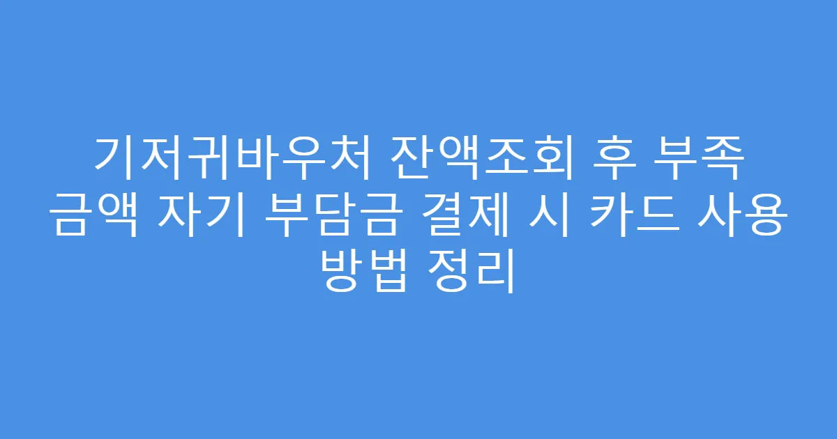 기저귀바우처 잔액조회 후 부족 금액 자기 부담금 결제 시 카드 사용 방법 정리