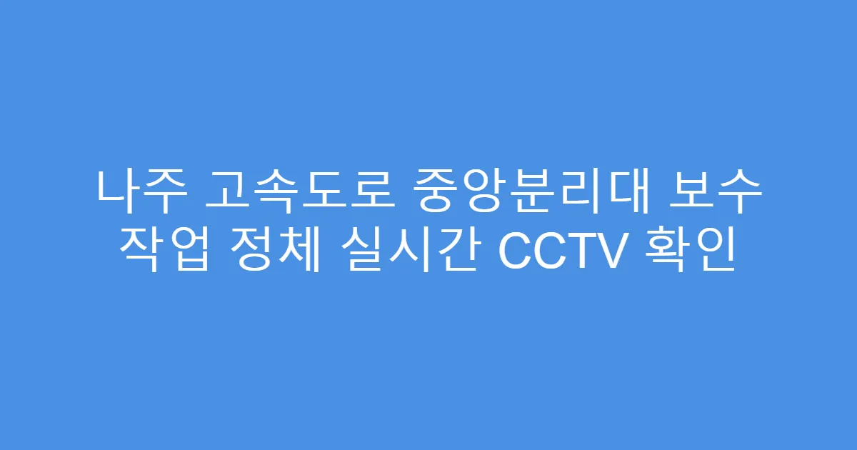 나주 고속도로 중앙분리대 보수 작업 정체 실시간 CCTV 확인