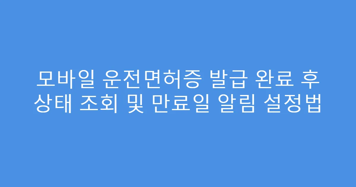 모바일 운전면허증 발급 완료 후 상태 조회 및 만료일 알림 설정법
