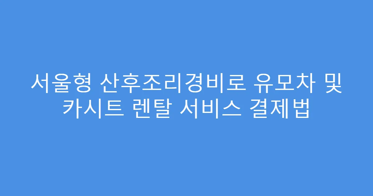 서울형 산후조리경비로 유모차 및 카시트 렌탈 서비스 결제법