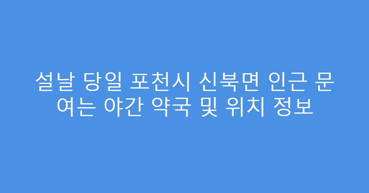 설날 당일 포천시 신북면 인근 문 여는 야간 약국 및 위치 정보
