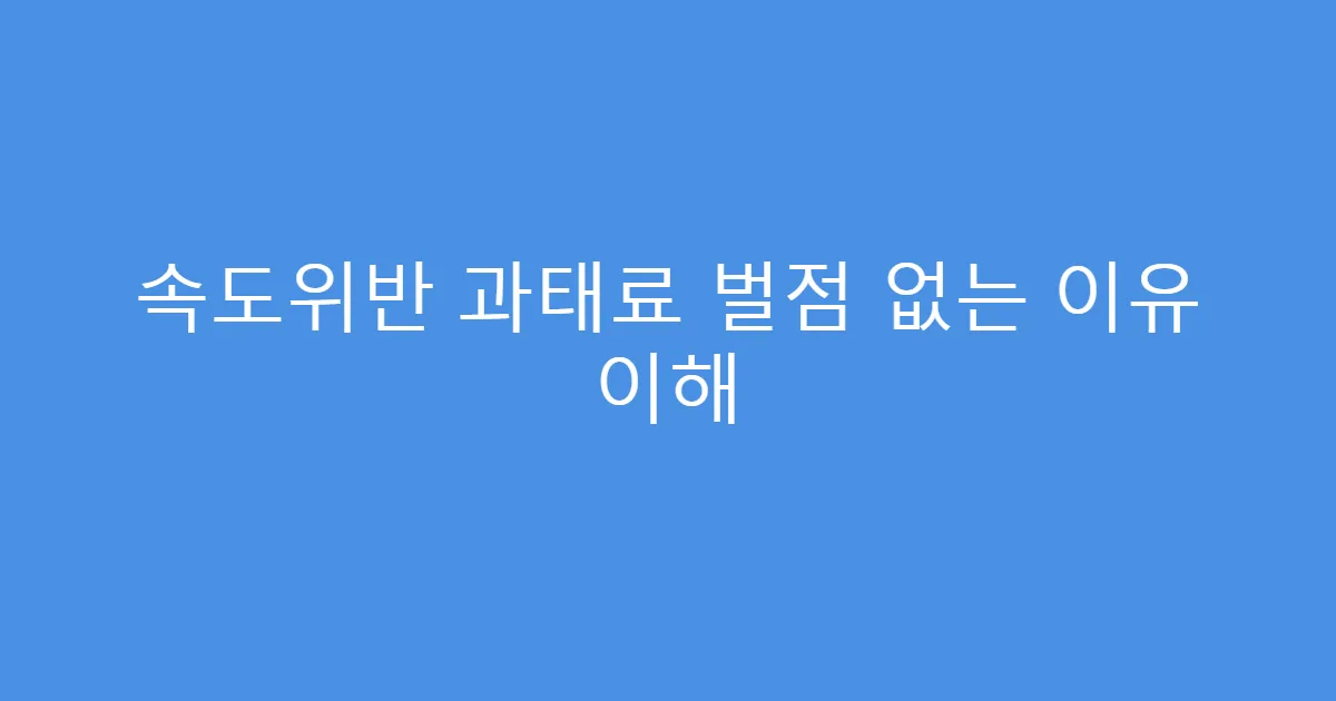 속도위반 과태료 벌점 없는 이유 이해