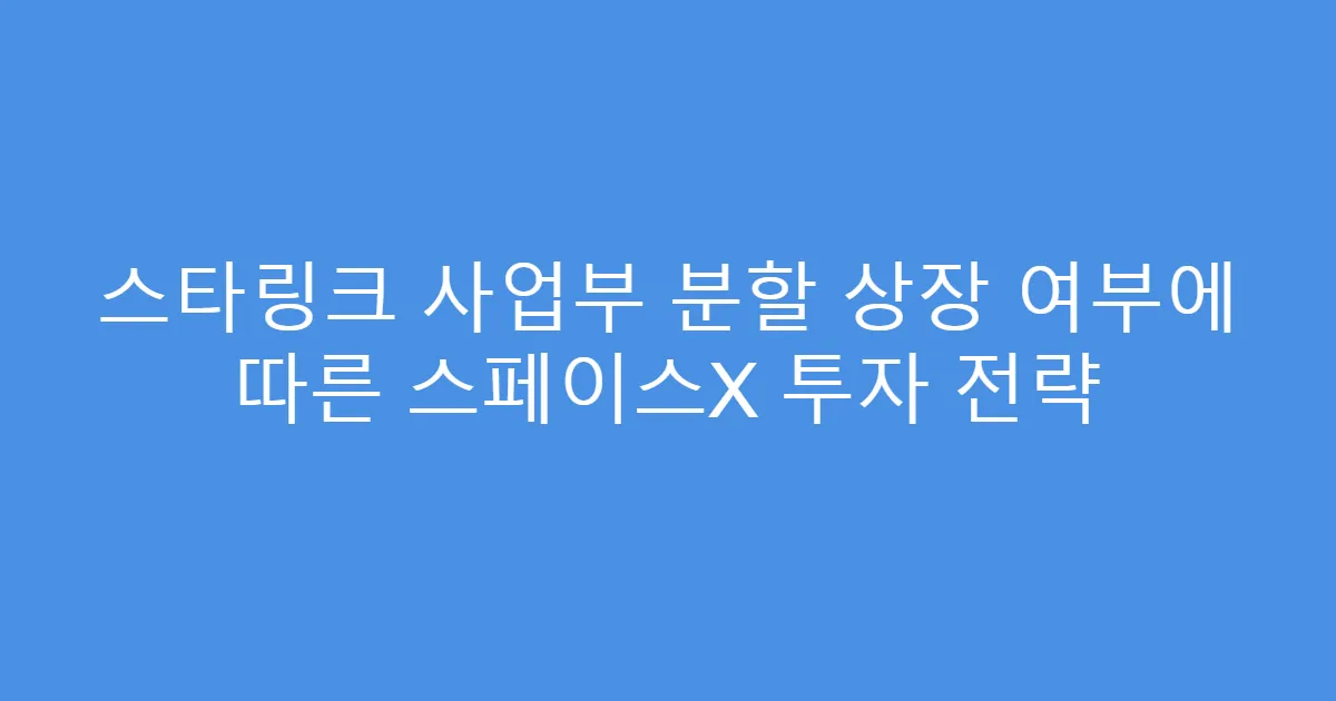 스타링크 사업부 분할 상장 여부에 따른 스페이스X 투자 전략