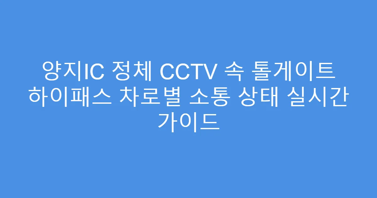 양지IC 정체 CCTV 속 톨게이트 하이패스 차로별 소통 상태 실시간 가이드