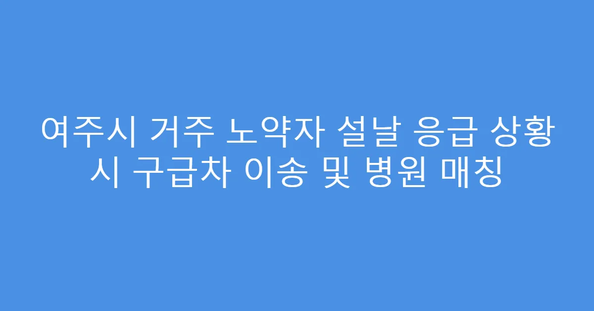 여주시 거주 노약자 설날 응급 상황 시 구급차 이송 및 병원 매칭